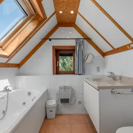 Zeepolder Ii 28 * Le Coq