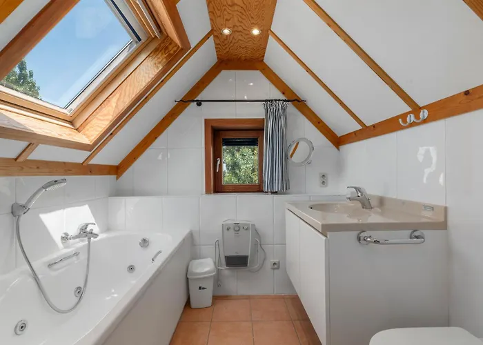 Zeepolder Ii 28 * Le Coq